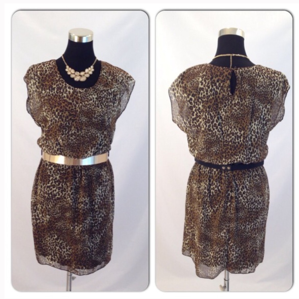 En Focus Tiger Animal Print Dress